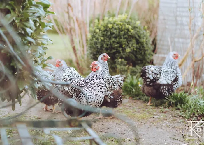 Nocleg ze śniadaniem Kardemommehuset